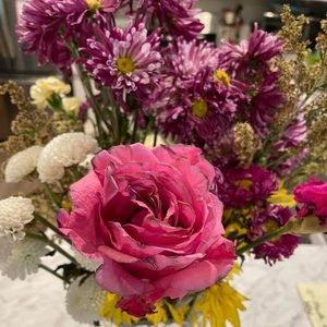 Meet your Posher, Diane